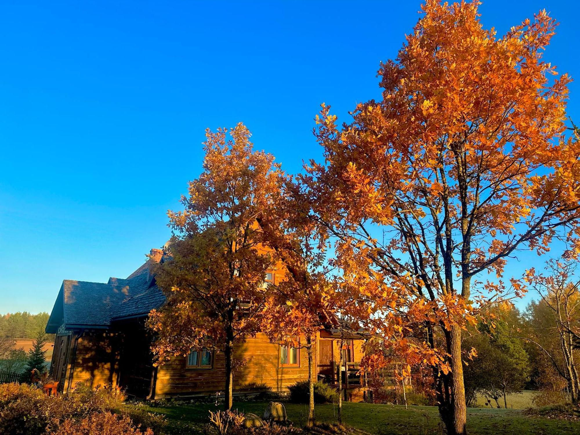 Dolina Sarenek Hotel Sejny Bagian luar foto